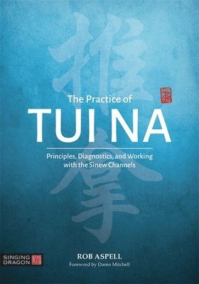 bokomslag Practice of Tui Na
