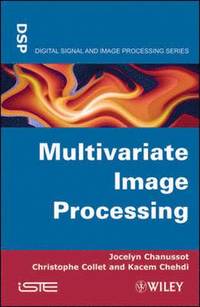 bokomslag Multivariate Image Processing