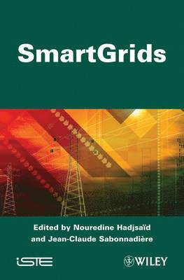 Nouredine Hadjsaïd, Jean-Claude Sabonnadière - Smart Grids, Inbunden