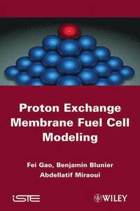 bokomslag Proton Exchange Membrane Fuel Cells Modeling