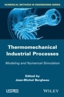 bokomslag Thermomechanical Industrial Processes