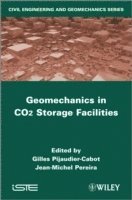 bokomslag Geomechanics in CO2 Storage Facilities