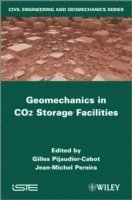 bokomslag Geomechanics in CO2 Storage Facilities