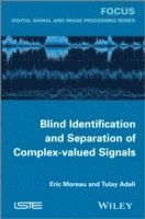 bokomslag Blind Identification and Separation of Complex-valued Signals