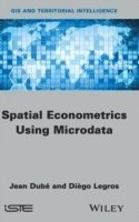 bokomslag Spatial Econometrics using Microdata