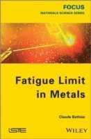 bokomslag Fatigue Limit in Metals