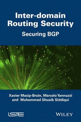 Xavier Masip-Bruin, Marcelo Yannuzzi, Muhammad Shuaib Siddiqui - Inter Domain Routing Security, Inbunden