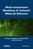 Georges Cailletaud, Kacem Sai, Lakhdar Taleb - Multi-mechanism Modeling of Inelastic Material Behavior, Inbunden