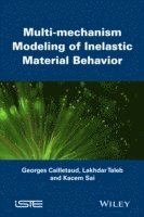 bokomslag Multi-mechanism Modeling of Inelastic Material Behavior