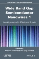 Vincent Consonni, Guy Feuillet, France) Consonni, Vincent (INP-CNRS, Grenoble, France) Feuillet, Guy (CEA-LETI, Grenoble, Robert Baptist - Wide Band Gap Semiconductor Nanowires 1, Inbunden