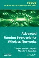 Miguel Elias Mitre Campista, Rubinstein Marcelo Gonçalves Rubinstein - Advanced Routing Protocols for Wireless Networks, Inbunden