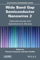bokomslag Wide Band Gap Semiconductor Nanowires 2
