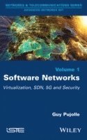bokomslag Software Networks