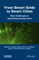 bokomslag From Smart Grids to Smart Cities