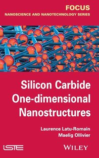 bokomslag Silicon Carbide One-dimensional Nanostructures