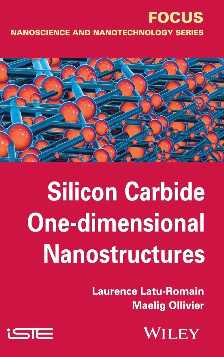 Silicon Carbide One-dimensional Nanostructures 1