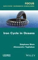 bokomslag Iron Cycle in Oceans