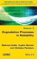 Waltraud Kahle, Sophie Mercier, Christian Paroissin - Degradation Processes in Reliability, Inbunden