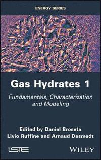 bokomslag Gas Hydrates 1