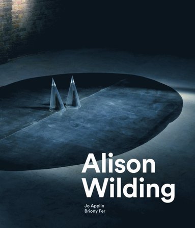 bokomslag Alison Wilding