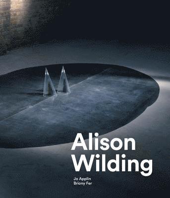 Alison Wilding 1