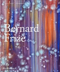 bokomslag Bernard Frize