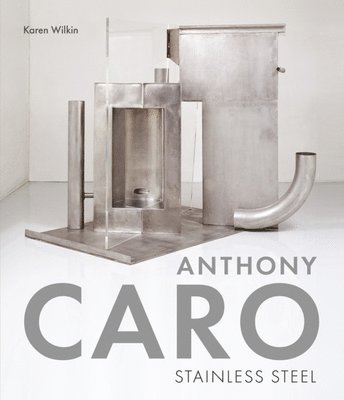 bokomslag Anthony Caro