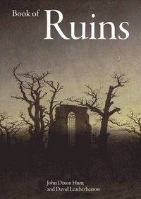 bokomslag Book of Ruins