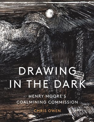 bokomslag Drawing in the Dark