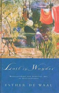 bokomslag Lost in Wonder