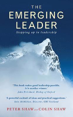 bokomslag Emerging Leader