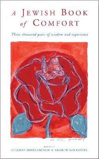 bokomslag Jewish Book of Comfort