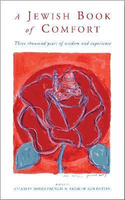 bokomslag Jewish Book of Comfort