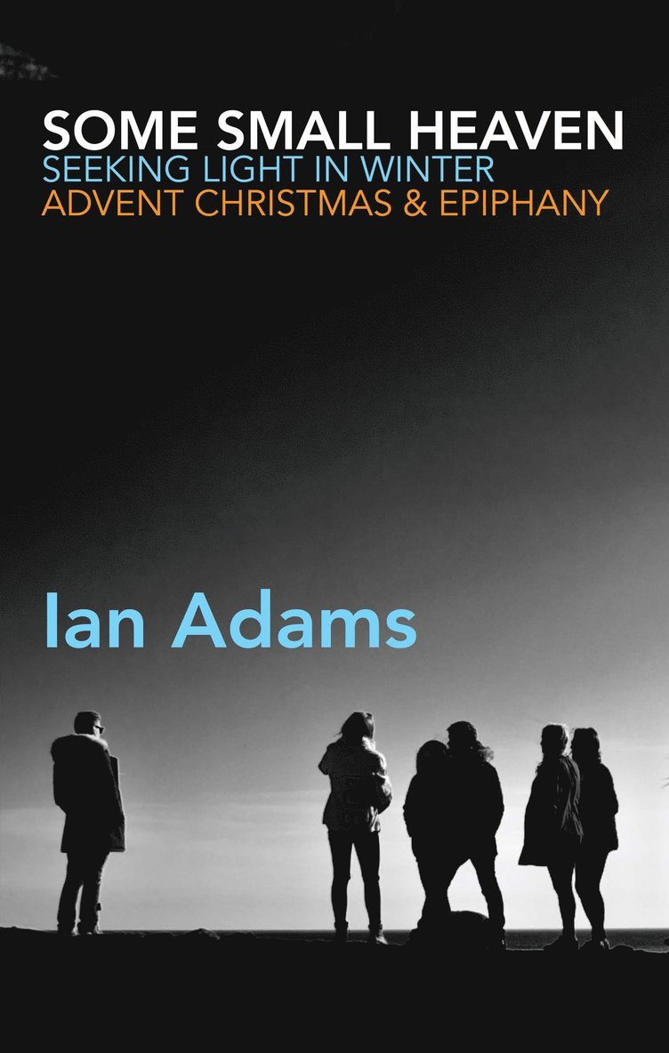 Ian Adams - Some Small Heaven, Häftad