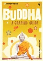 bokomslag Introducing Buddha