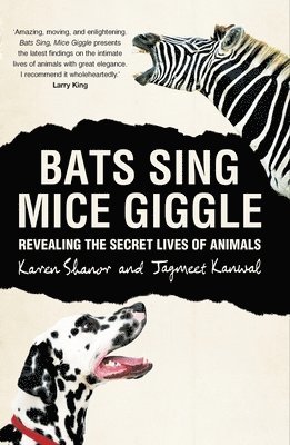 bokomslag Bats Sing, Mice Giggle