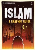 bokomslag Introducing Islam