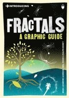 bokomslag Introducing Fractals