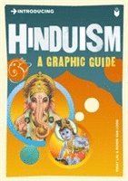 bokomslag Introducing Hinduism