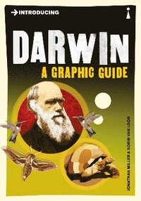 bokomslag Introducing Darwin