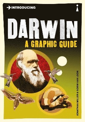 Introducing Darwin 1