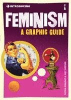 bokomslag Introducing Feminism