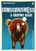 bokomslag Introducing Consciousness