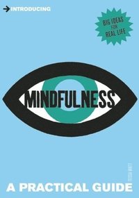 bokomslag Introducing Mindfulness