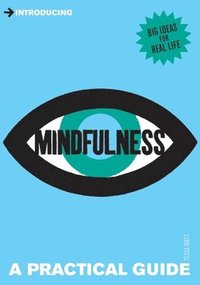 bokomslag Introducing Mindfulness