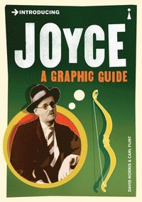 bokomslag Introducing Joyce