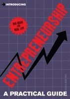 Alison Price, David Price - A Practical Guide to Entrepreneurship: Be Your Own Boss, Häftad