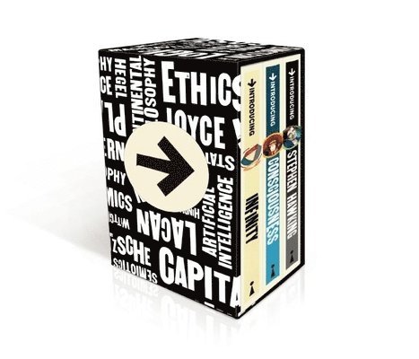 Introducing Graphic Guide Box Set - More Great Theories of Science 1