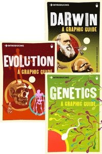 bokomslag Introducing Graphic Guide Box Set - The Origins of Life
