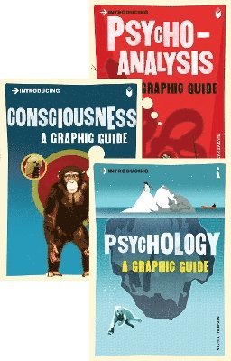 bokomslag Introducing Graphic Guide box set - Know Thyself
